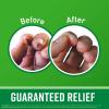O’Keeffe’s Working Hands Hand Cream (3.4 oz Jar) and Healthy Feet Foot Cream (3.2 oz Jar) – Repairing Skincare for Extremely Dry, Cracked Hands and Feet, Travel Size(1 Count (Pack of 1))